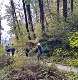 Explore Routeburn Track with New Zealand Trails