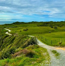 Explore West Coast Beaches 28 October 2024 4
