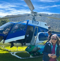 Helicopter flight