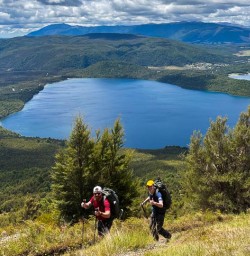 Hike to Bushline Hut 16 December 2024 2