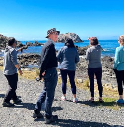 Kaikoura walking tour