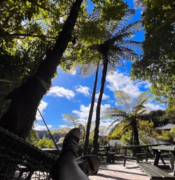 Kayaking Queen Charlotte Sound adventure tours 
