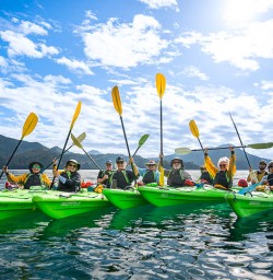 Queen Charlotte Soundkayakaing tours with New Zealand Trails