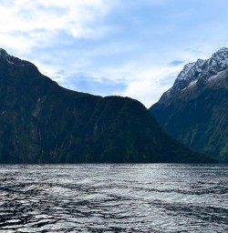 Milford Sound Walking tours 