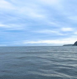 Milford Sound adventure tours