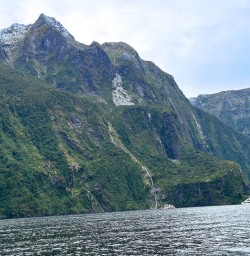 Milford Sound hiking tours 