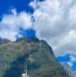 Milford sound cruise 