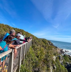 Nelson Lakes National Park Coastal Walkway to Tauranga Bay Seal Colony 11 November 2024 4