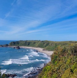 Nelson Lakes National Park Coastal Walkway to Tauranga Bay Seal Colony 11 November 2024 6