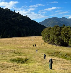 Nydia Track hiking tours 