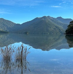 Nydia Track hiking tours