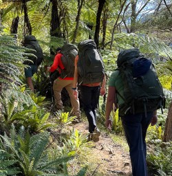 Nydia Track walking and hiking tours 