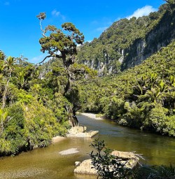 Paparoa National Park