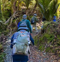 Paparoa National Park adventure hiking tours 
