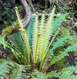 Paparoa National Park adventure tours 