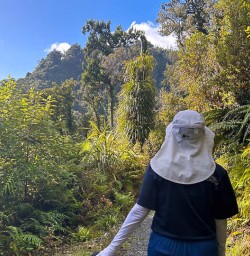 Paparoa National Park hiking and adventure tours 2