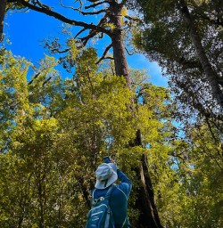 Paparoa National Park hiking and adventure tours 