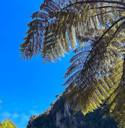 Paparoa National Park luxury hiking tours 
