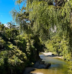 Paparoa National Park small group tours 