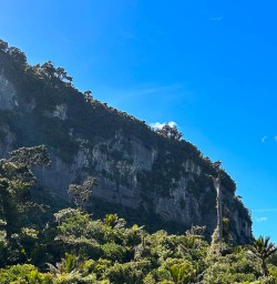 Paparoa National Park walking and adventure tours 