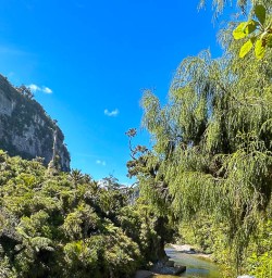 Paparoa National Park walking and hiking tours 