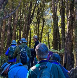 Paparoa National Park walking tours 