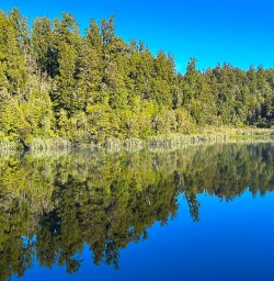 Reflective Lake Matheson in New Zealand