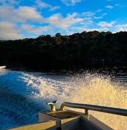 Small group tour of Stewart Island 