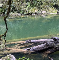 Small group tours in Paparoa National Park 