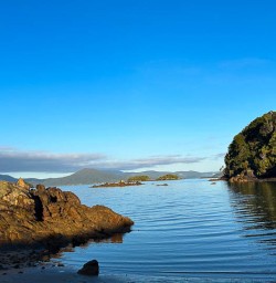 Stewart Island