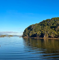 Walking tours in Stewart Island with new zealand trails