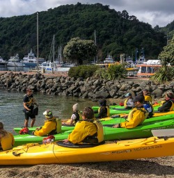 About to kayak at Picton, Marlborough Sounds New Zealand