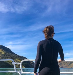 Akaroa Peninsula dolphin swim
