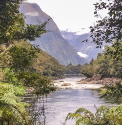 Arthur River, Milford Track Fiordland Southland New Zealand
