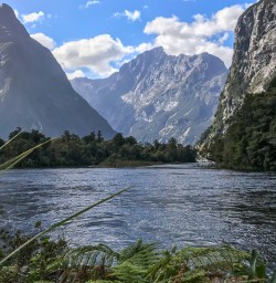 Arthur River, Milford Track Fiordland Southland New Zealand
