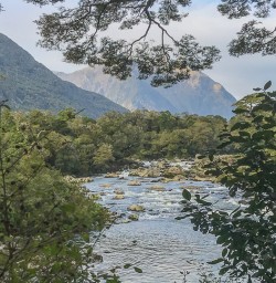Arthur River, Milford Track Fiordland Southland New Zealand