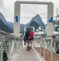 Boat Tour at Milford Sound, Fiordland National Park Southland New Zealand