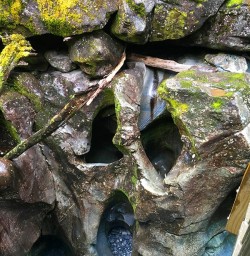The mighty Chasm - these amazing rock formations took over a thousand years to create