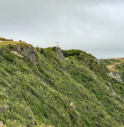 Cliffs at Cape Foulwind