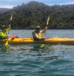 Couple at kayaking the Marlborough Sounds, New Zealand