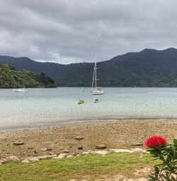 Couple kayaking at Marlborough Sounds, New Zealand