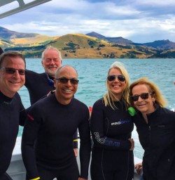 Dolphin swim Akaroa