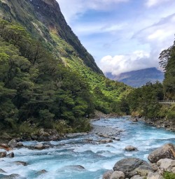 Driving in Fiordland National Park