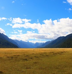 8 eglinton valley fiordland southland nz2