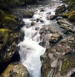 The Cleddau River