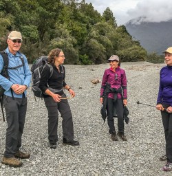 Hollyford Track beach, Fiordland National Park Southland New Zealand