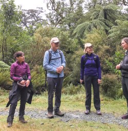 Milford Track, Fiordland National Park Southland New Zealand