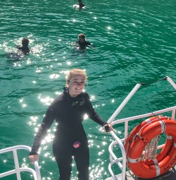 Guests swimming with dolphins Akaroa