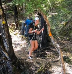 Guide walking along Lake Rotoiti, Tasman New Zealand