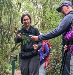 Guided Tour at Milford Track, Fiordland National Park New Zealand